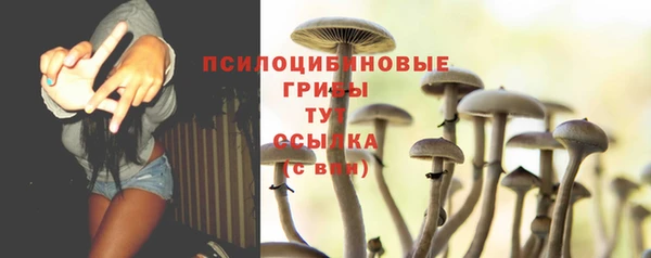 apvp Алексин