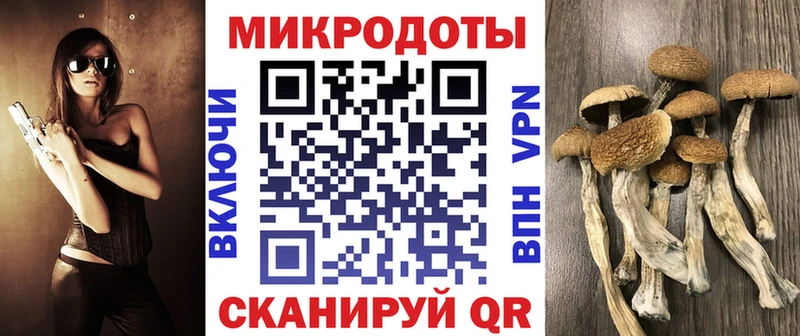 Псилоцибиновые грибы Cubensis Плавск
